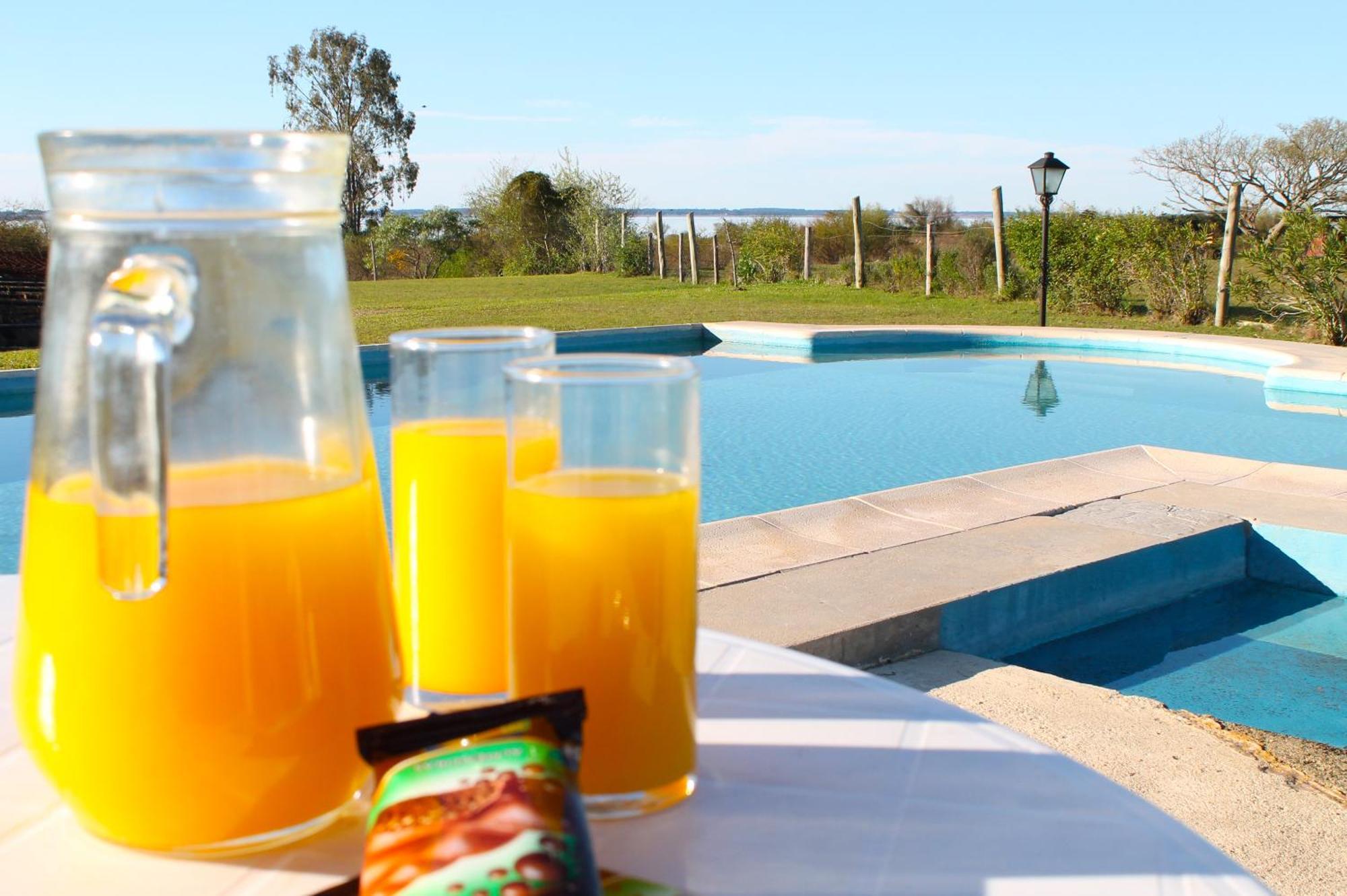 Brisas Del Lago Apart Y Hotel Federacion Exterior photo